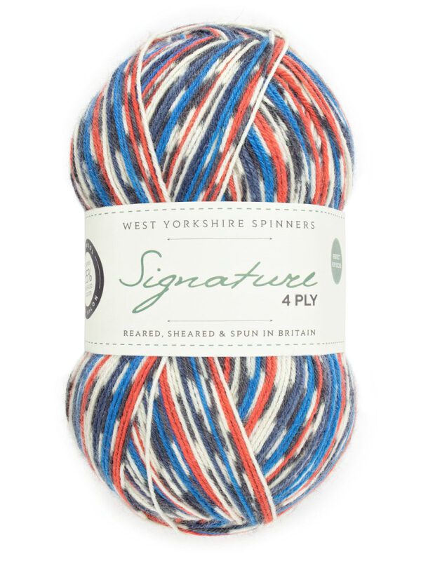 WYS Signature 4ply Sock Yarn Country Birds - Image 13