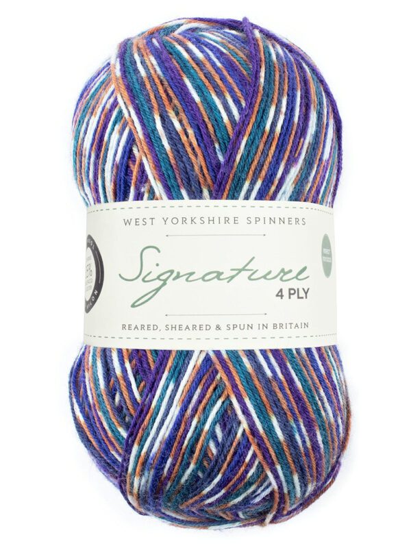 WYS Signature 4ply Sock Yarn Country Birds - Image 12