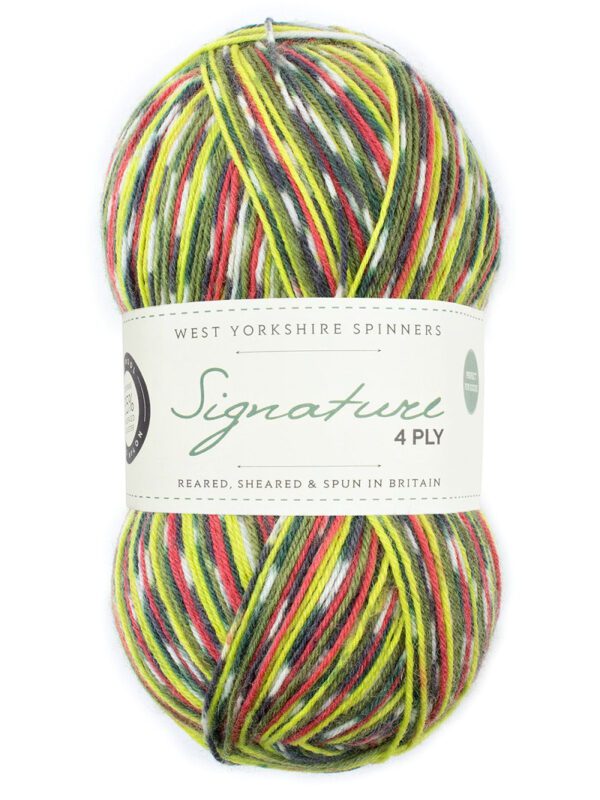 WYS Signature 4ply Sock Yarn Country Birds - Image 14