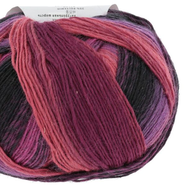 Lang Jawoll Magic Dégradé - Image 12