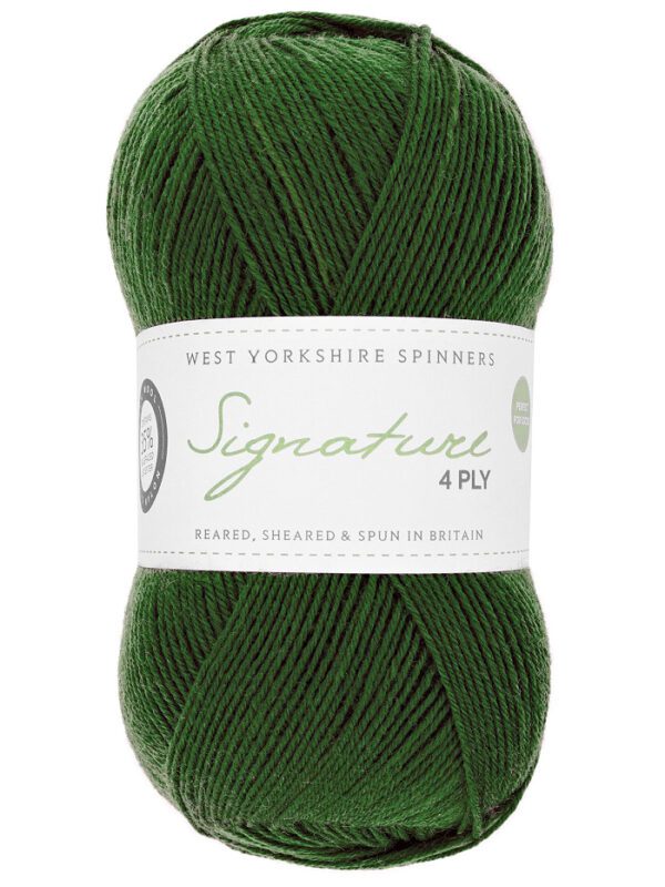 WYS Signature 4ply Sock Yarn Spice Rack - Image 9