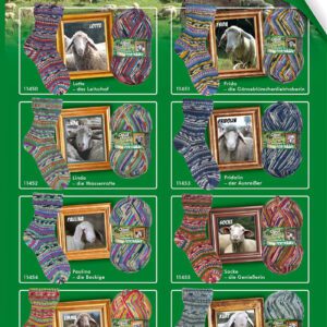 Opal Schafpate 16 Portrait